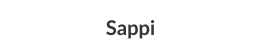 Our industrial automation client: Sappi
